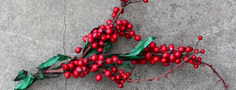 Red Berry Sprigs